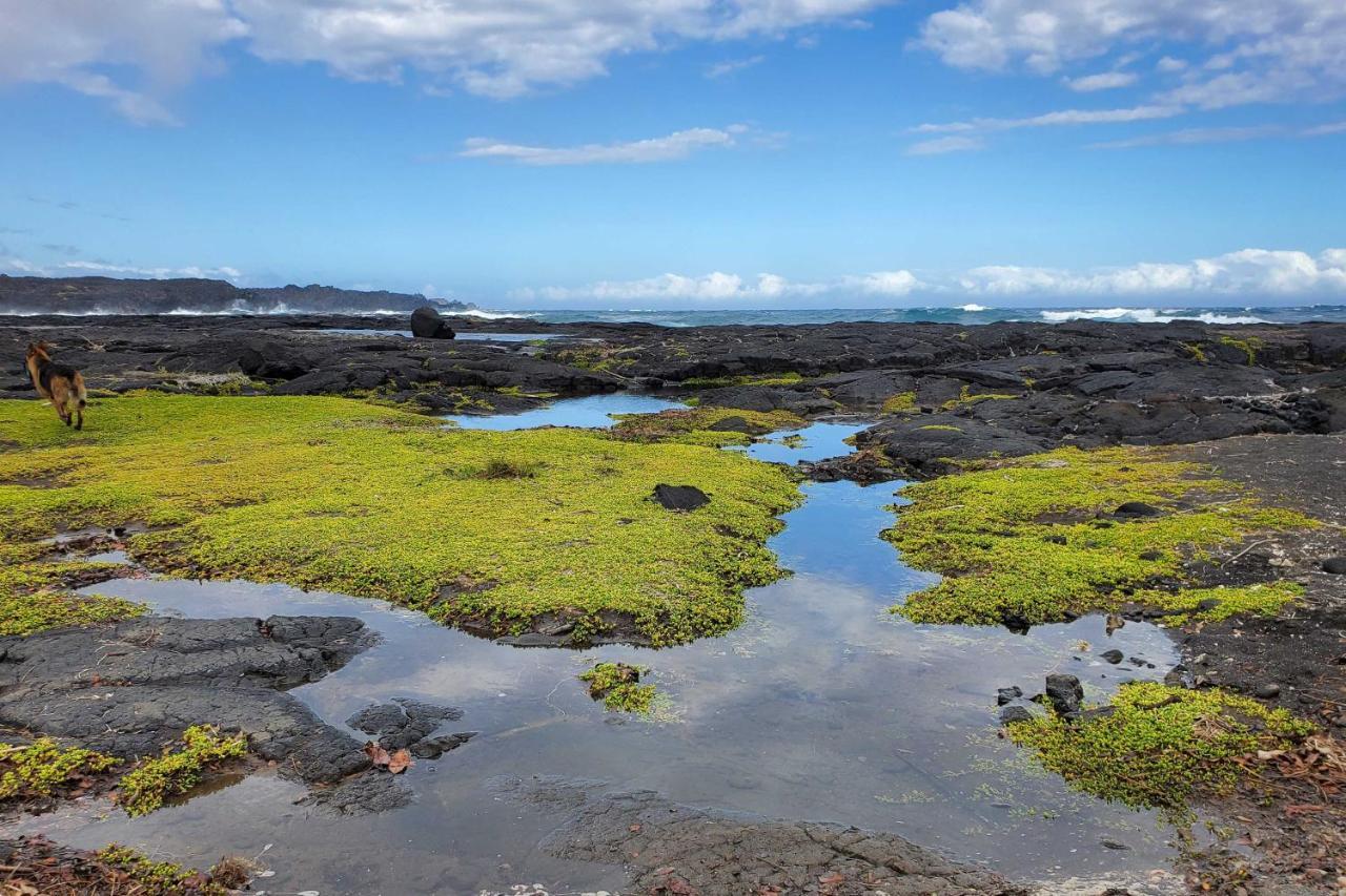 The Aloha Green House Retreat With Ocean Views! Naalehu Εξωτερικό φωτογραφία