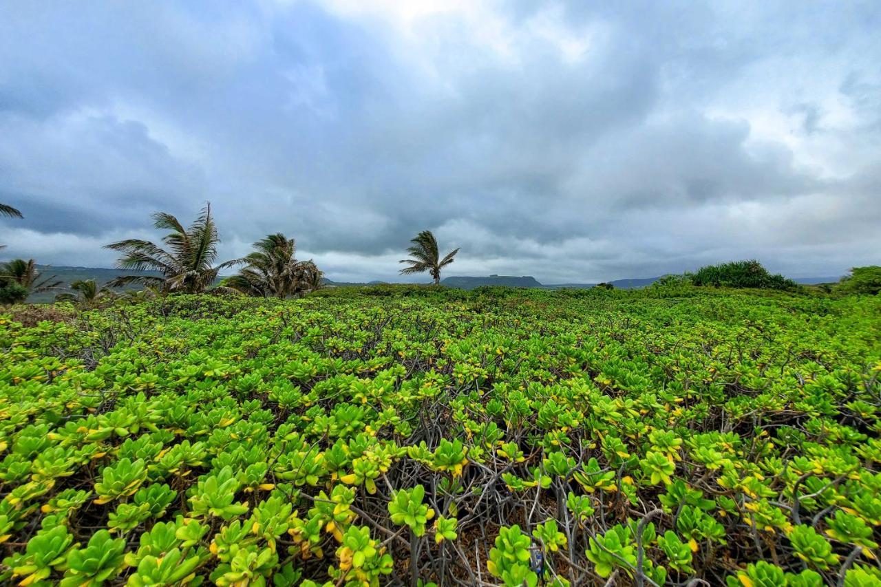 The Aloha Green House Retreat With Ocean Views! Naalehu Εξωτερικό φωτογραφία
