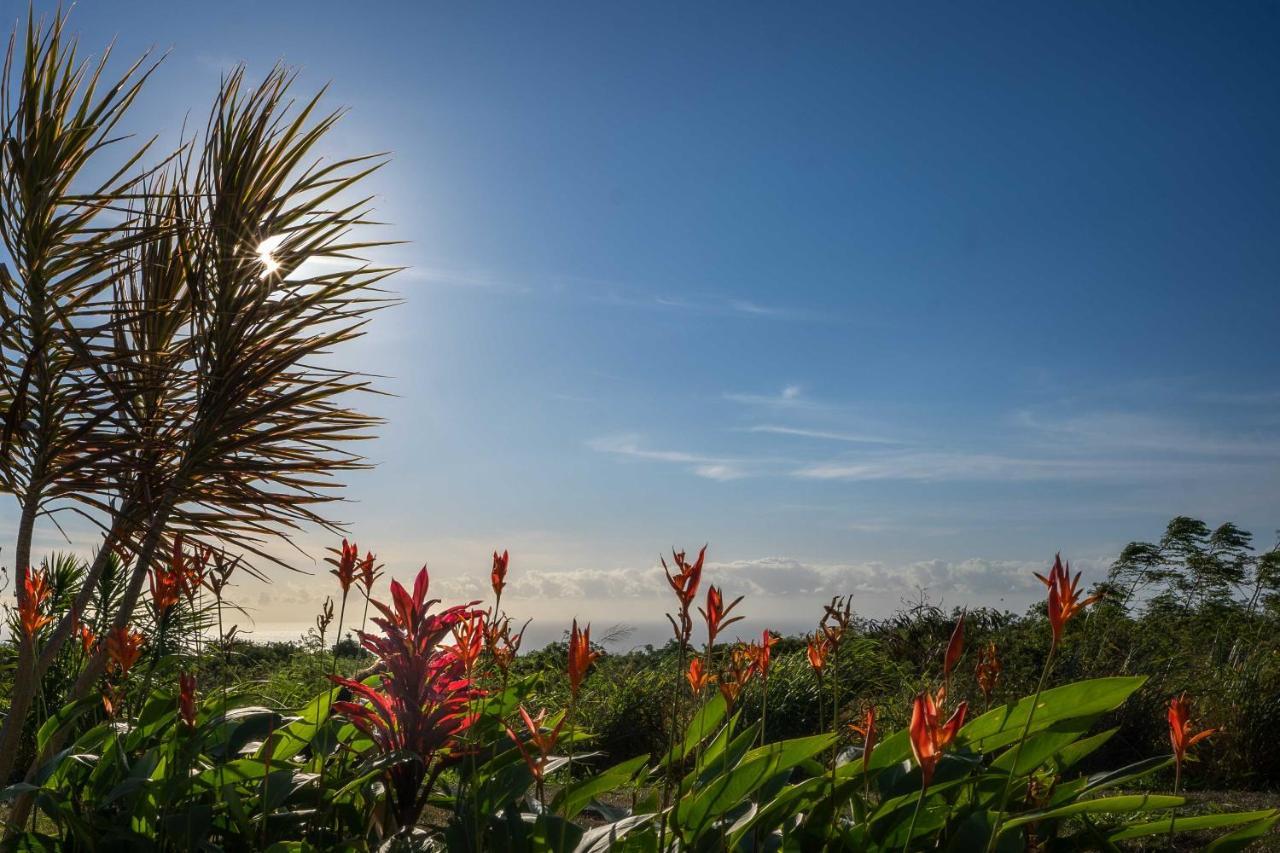 The Aloha Green House Retreat With Ocean Views! Naalehu Εξωτερικό φωτογραφία